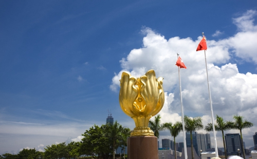 香港离岸公司可以自己报税吗？
