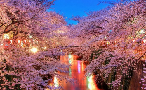 日本投资经营管理签证大揭秘