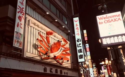 想去日本投资房产，现在是不是好的窗口期呢？